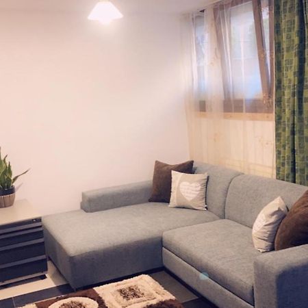 Boutique Suite 2 クルージュ＝ナポカ エクステリア 写真