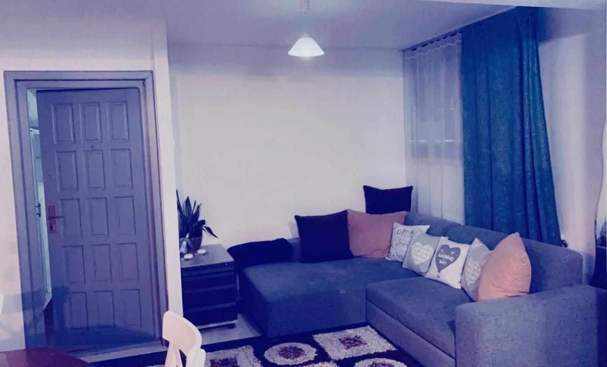 Boutique Suite 2 クルージュ＝ナポカ エクステリア 写真